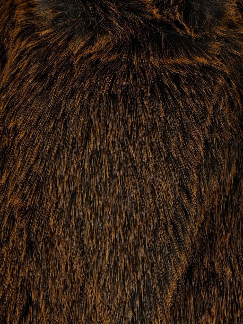 Semicouture Jackets Brown