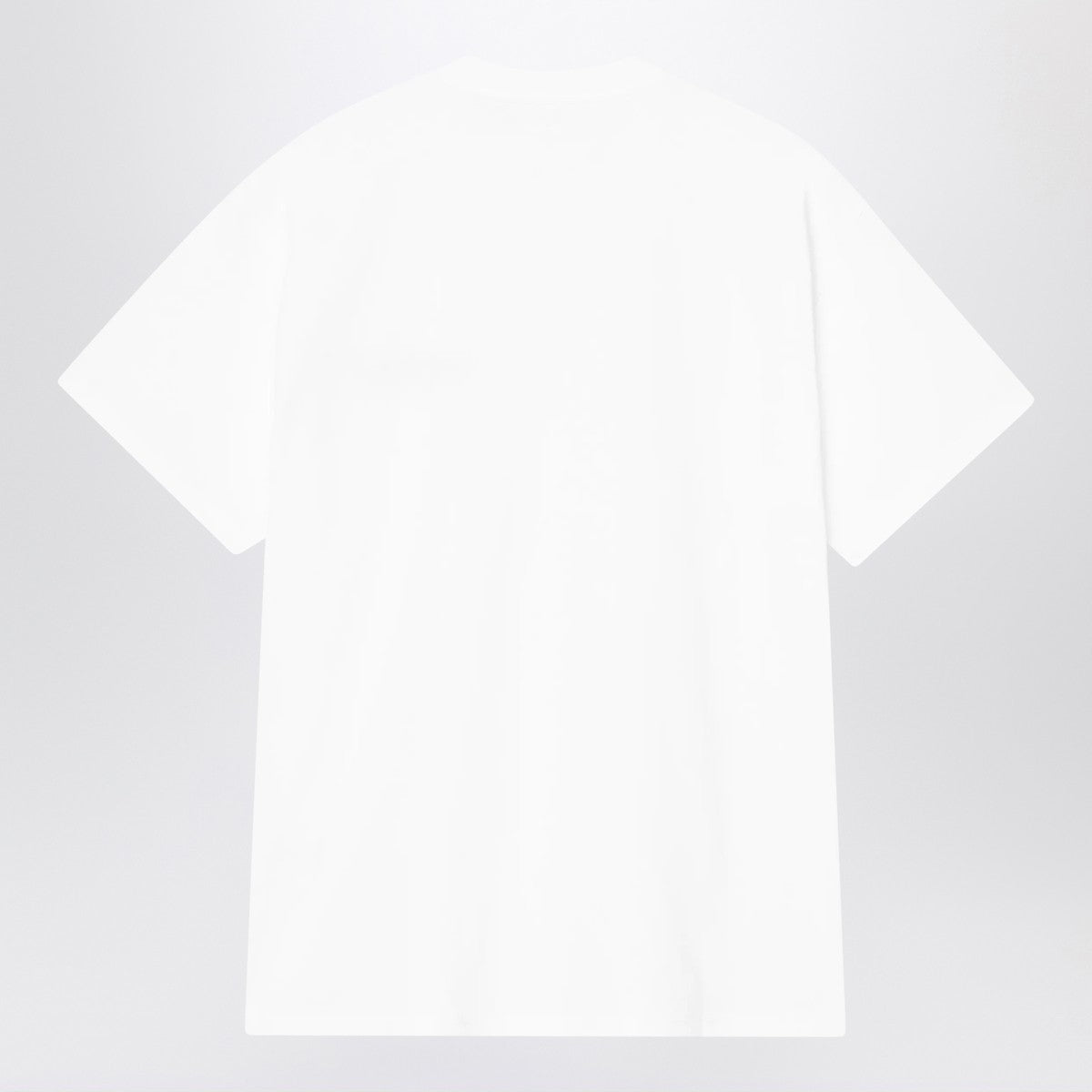 Carhartt WIP S/S Wiptopia Script T-Shirt white