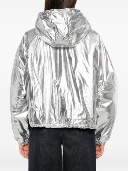 ألوان أيرو للطلاء - فضي