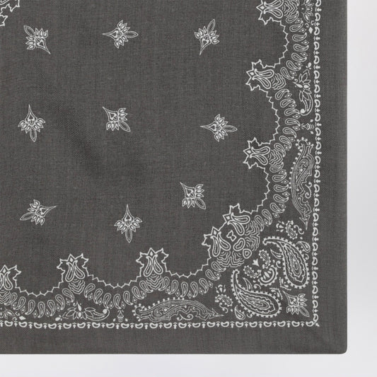 Destin Grey Paisley wool scarf